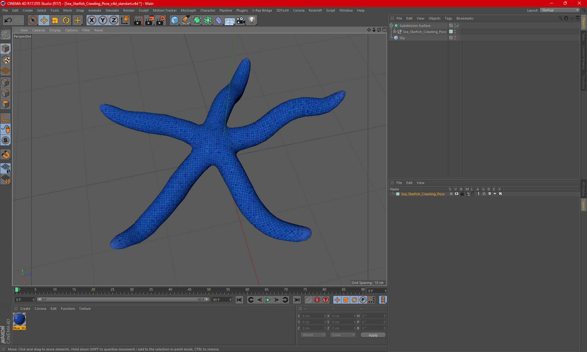 3D Sea Starfish Crawling Pose