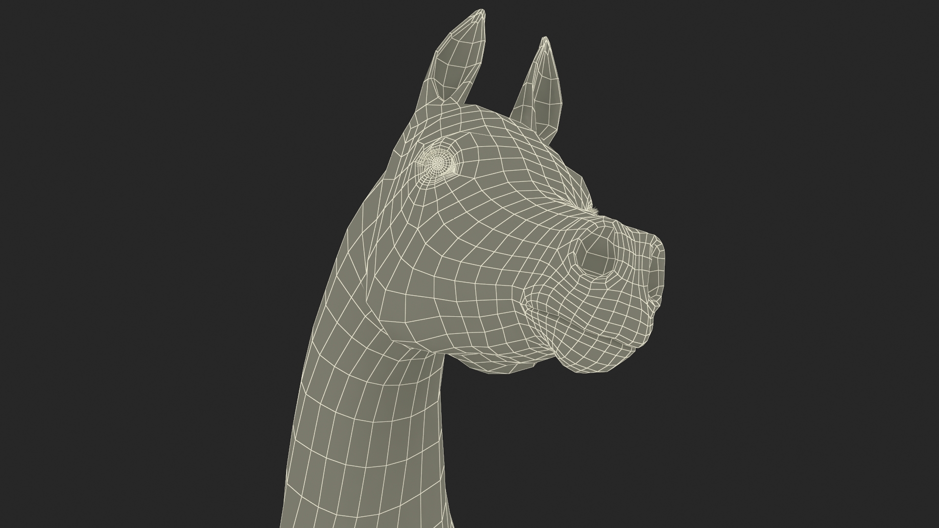 Arabian Horse White Stand Pose Fur 3D model