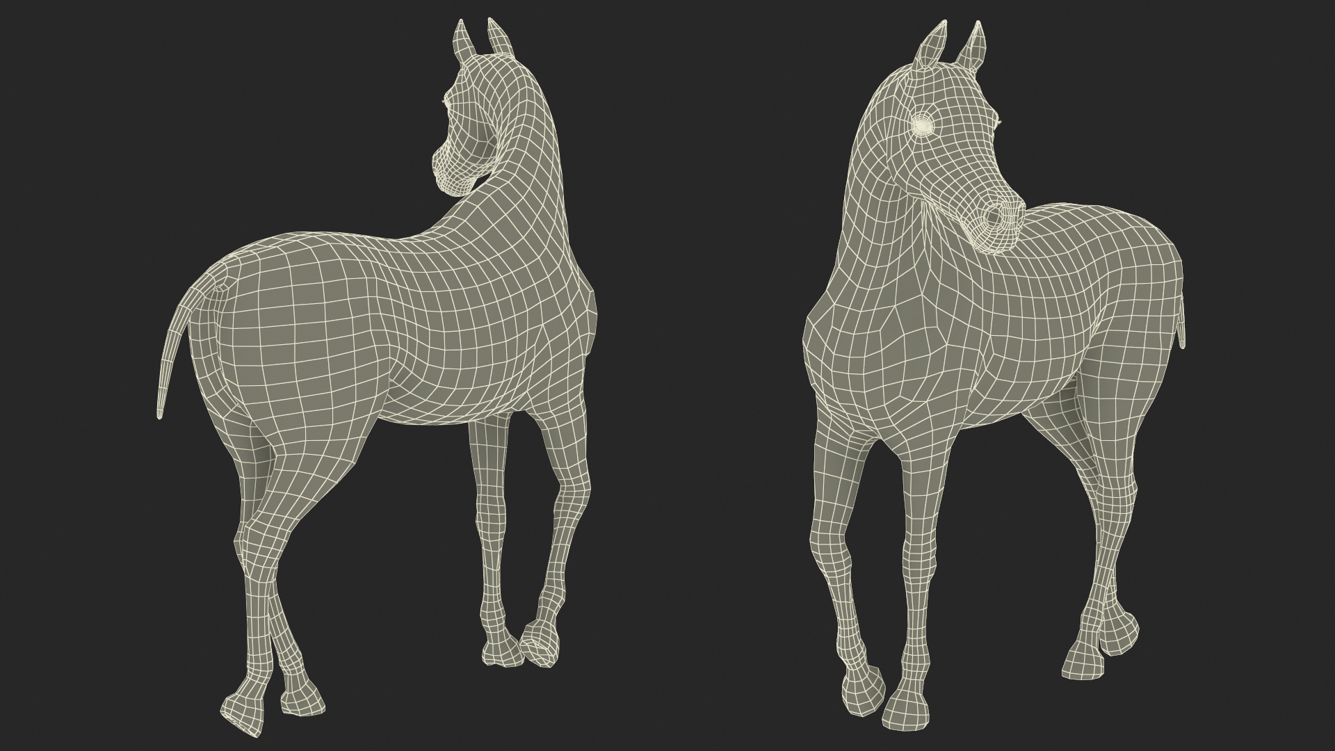 Arabian Horse White Stand Pose Fur 3D model