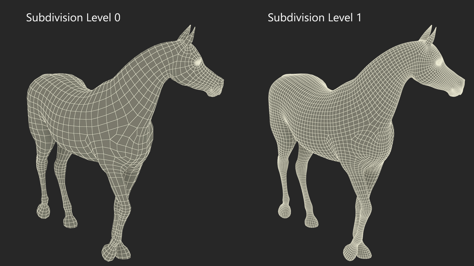 Arabian Horse White Stand Pose Fur 3D model