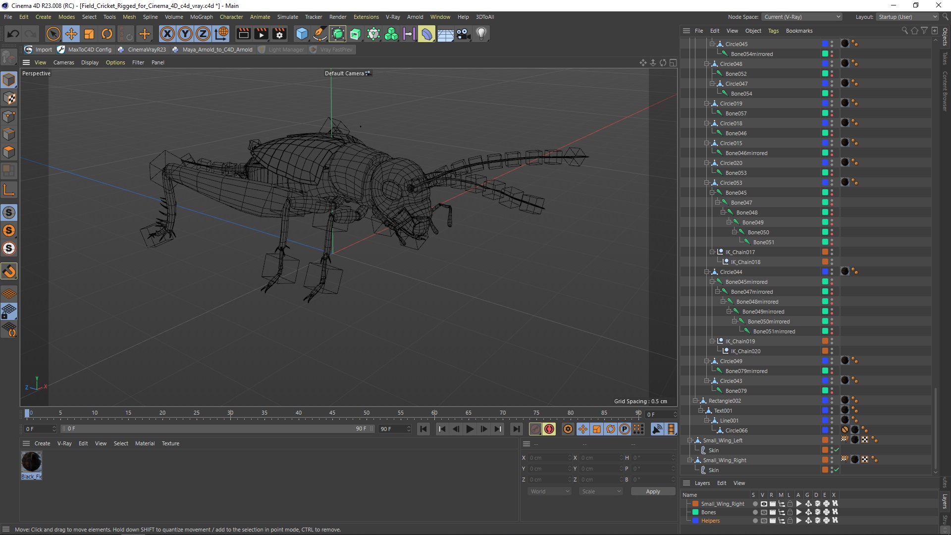 Field Cricket Rigged for Cinema 4D 3D model