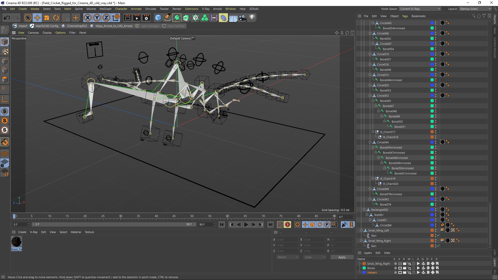 Field Cricket Rigged for Cinema 4D 3D model