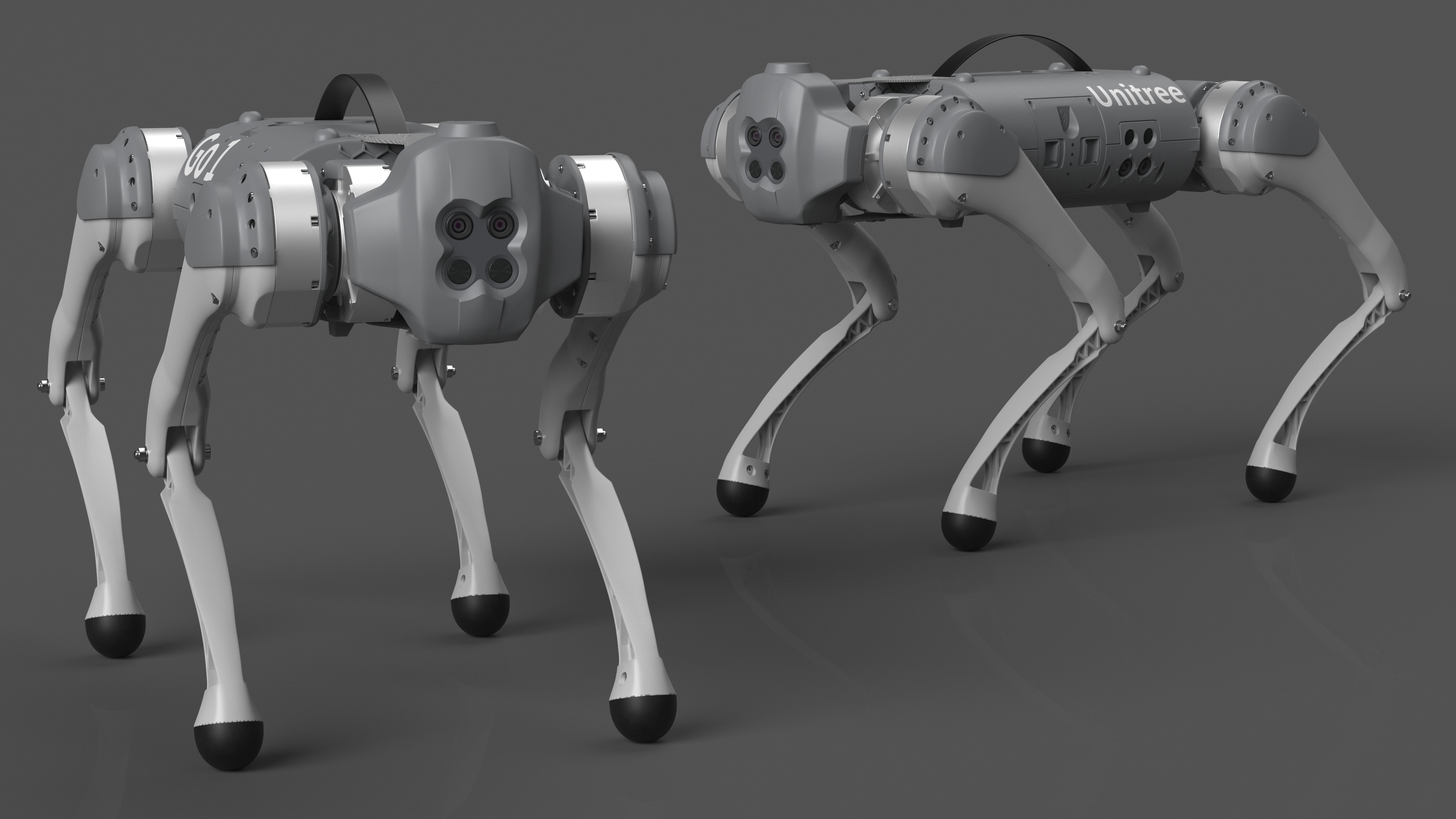 3D model Robot Unitree Go1 Silver Rigged for Cinema 4D