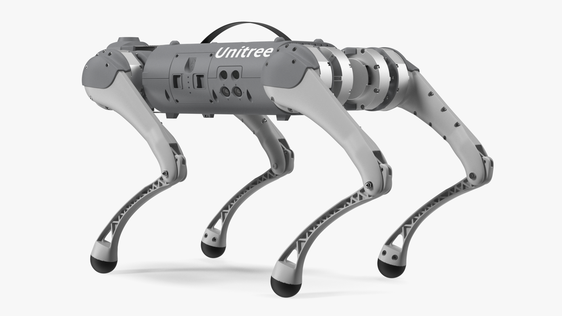 3D model Robot Unitree Go1 Silver Rigged for Cinema 4D