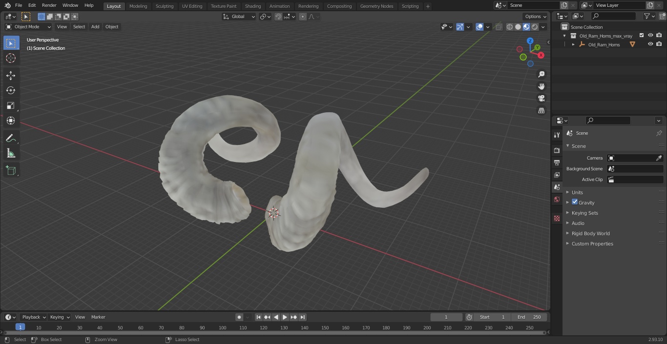 3D Old Ram Horns model