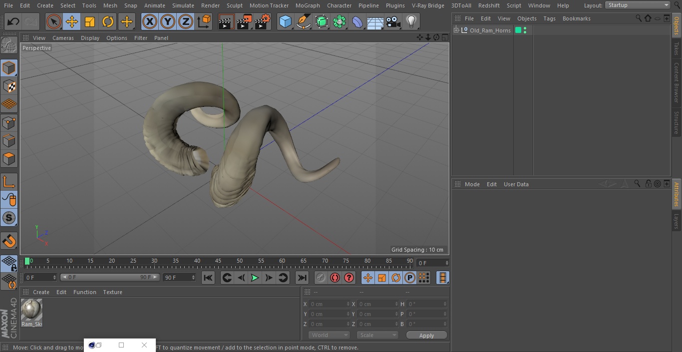 3D Old Ram Horns model