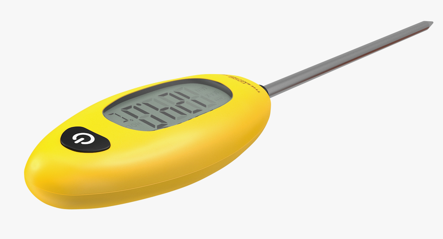 Cooking Thermometer with Roasted Turkey 3D model