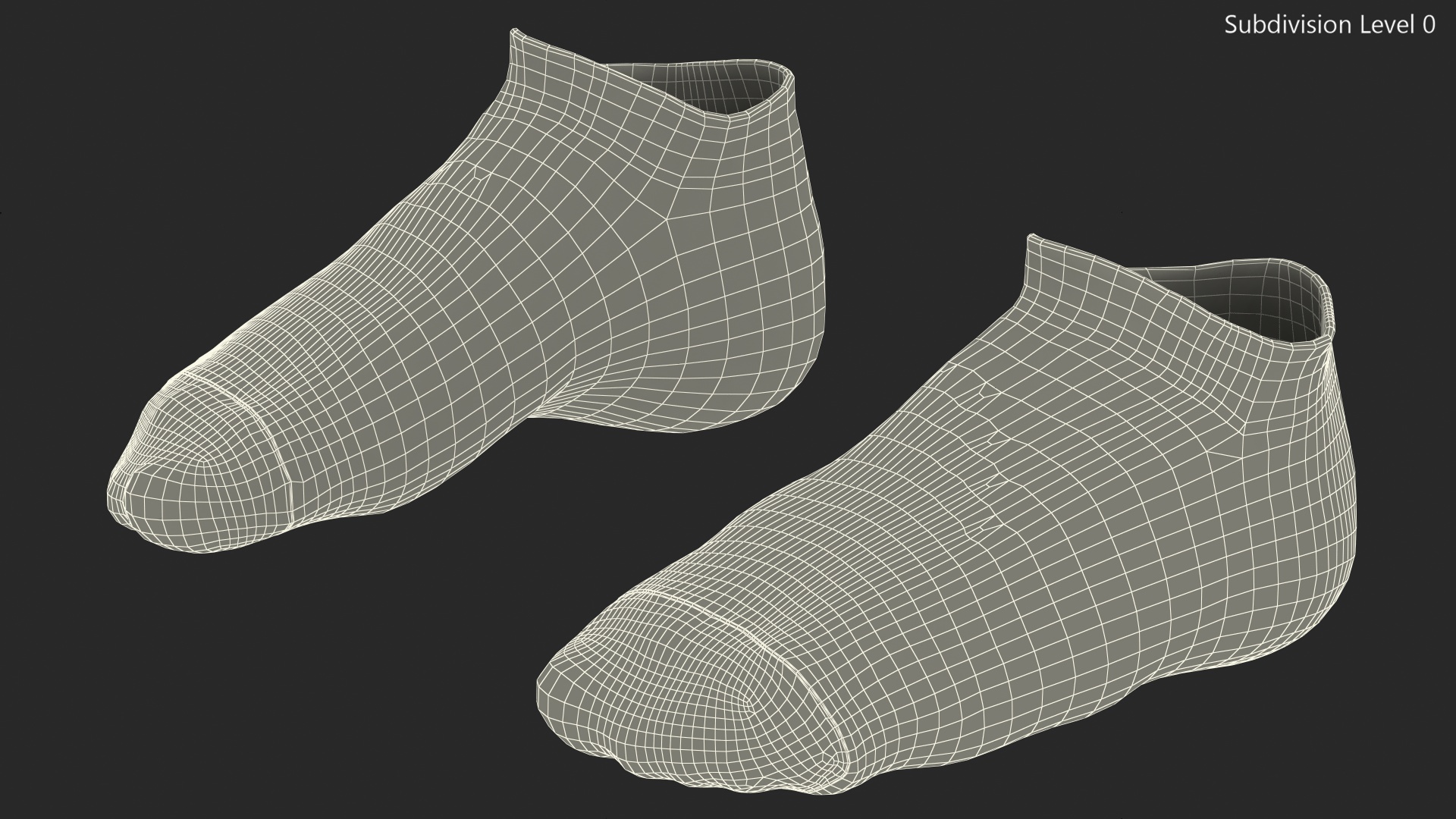 3D Socks Grey on The Foot Standing