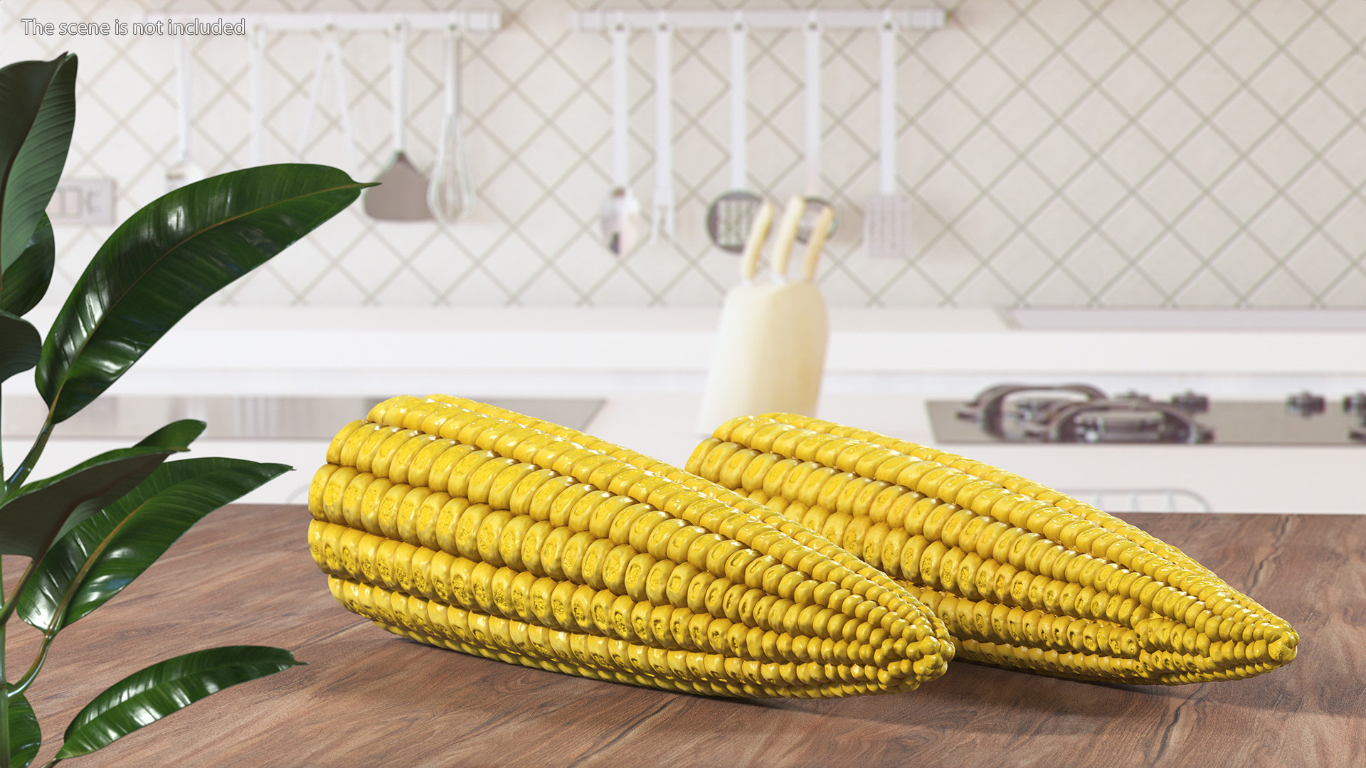 Baby Corn 3D model