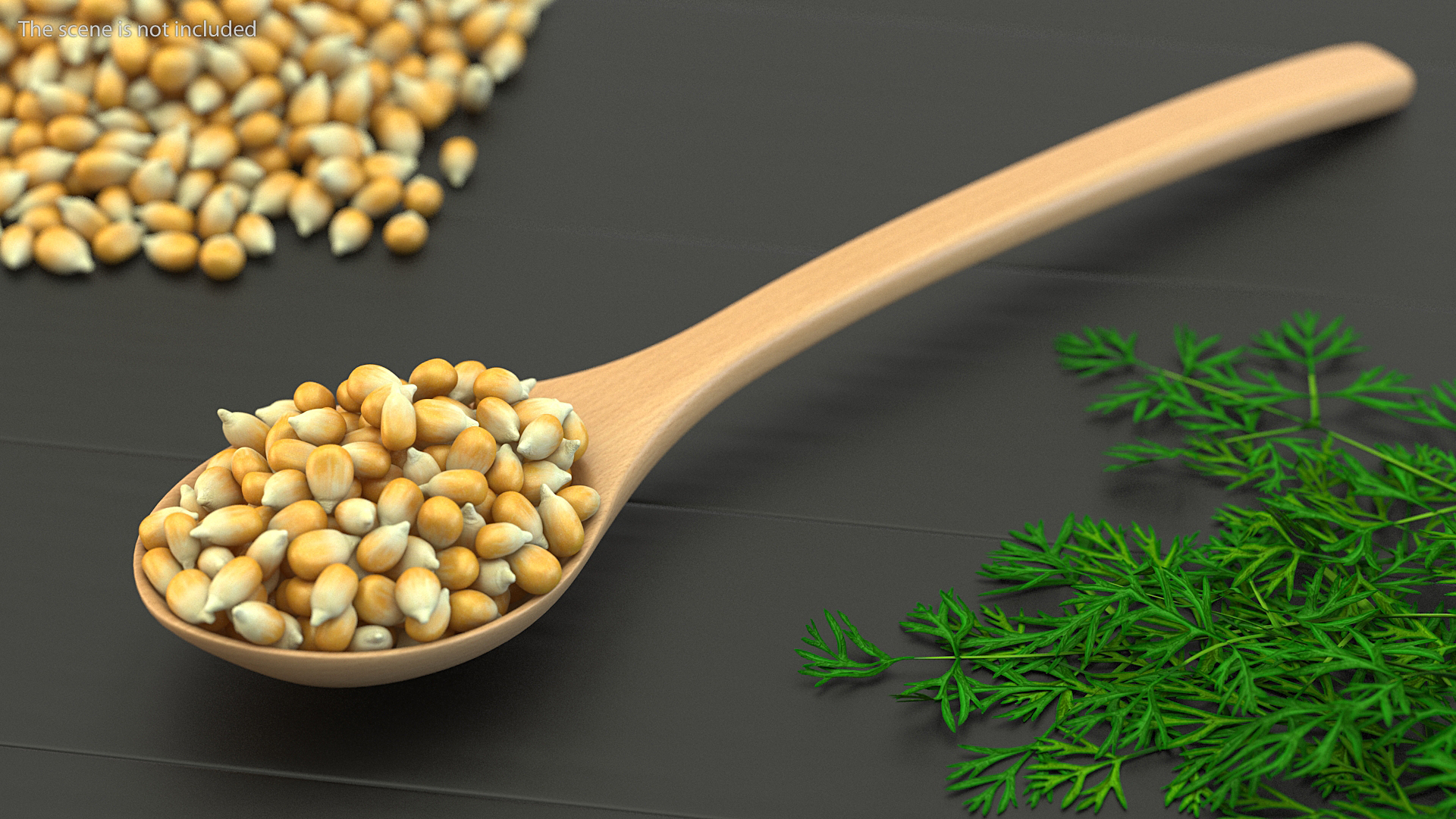 3D Wooden Spoon with Corn Seeds model