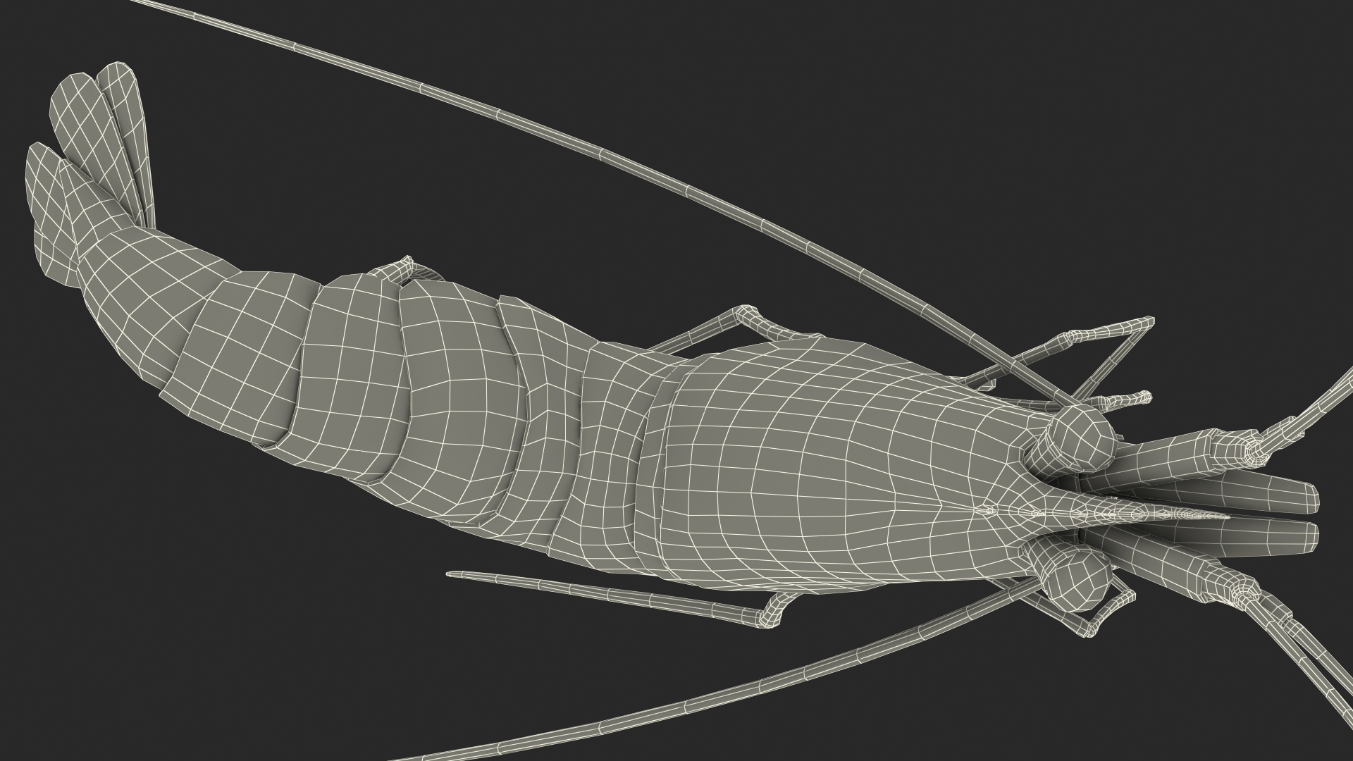 3D model Fire Shrimp Fur