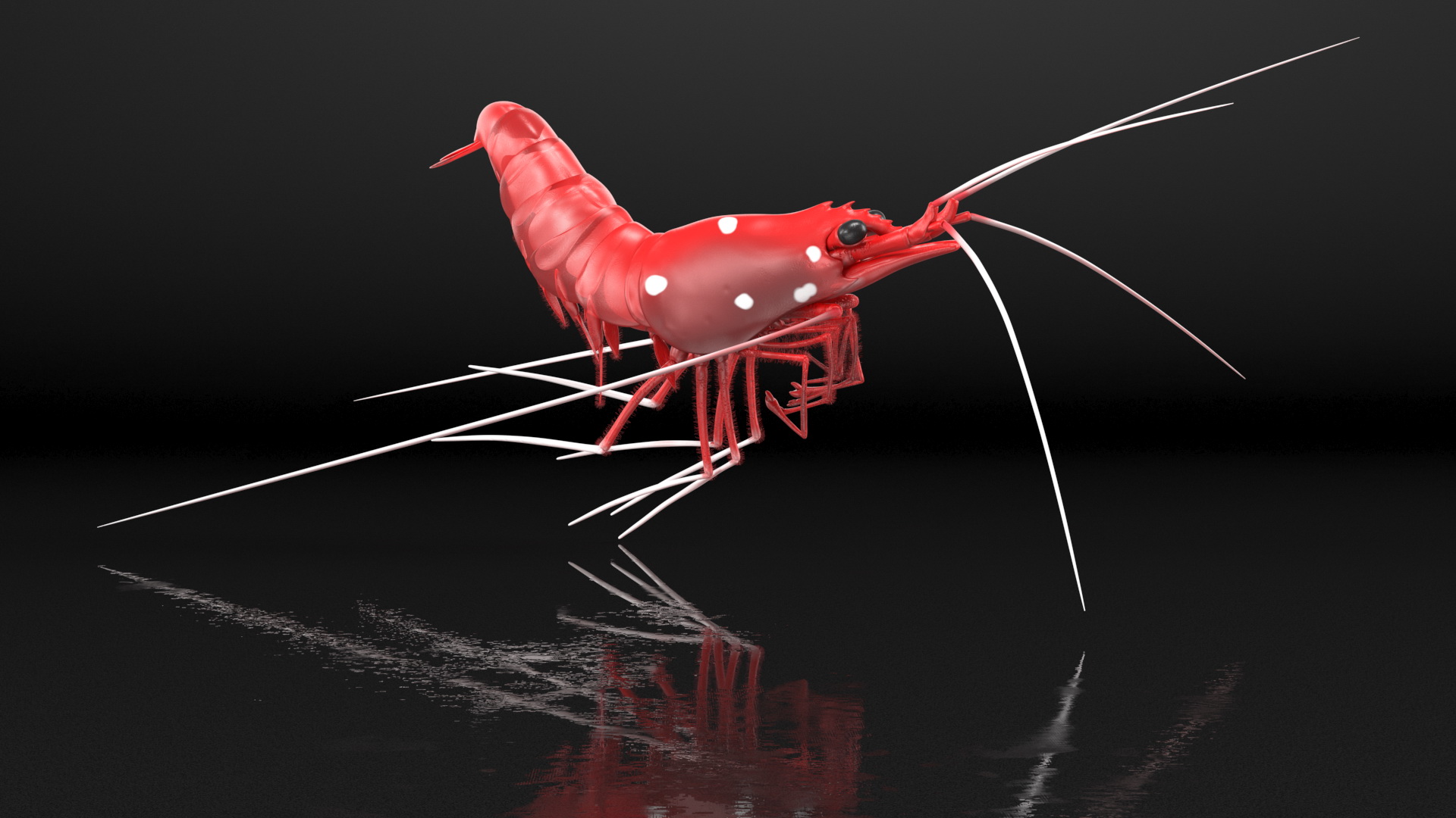 3D model Fire Shrimp Fur