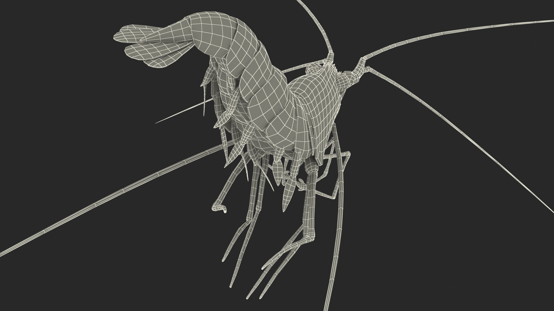 3D model Fire Shrimp Fur