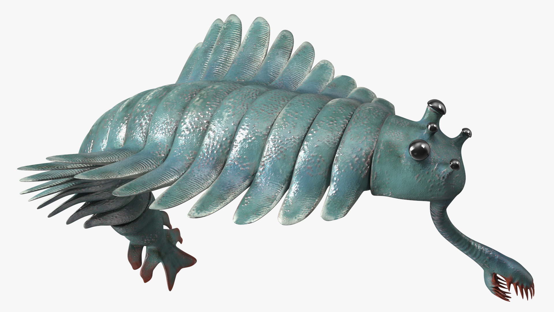 3D Green Opabinia Rigged