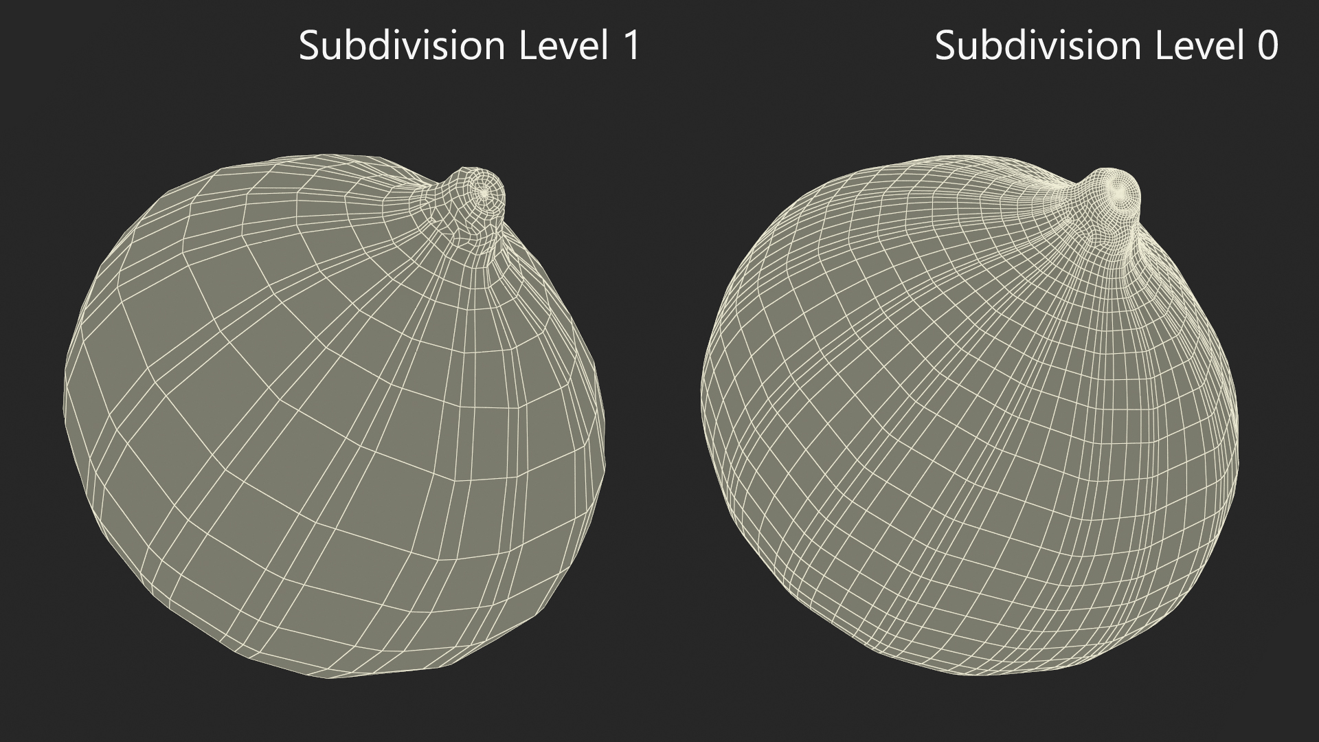 Ripe Fig Fruit 3D model