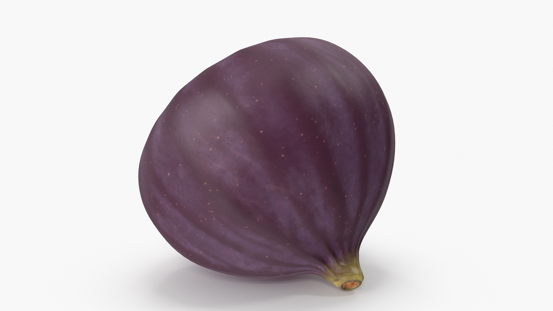 Ripe Fig Fruit 3D model