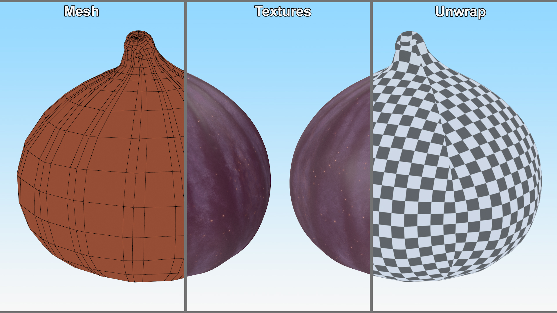 Ripe Fig Fruit 3D model