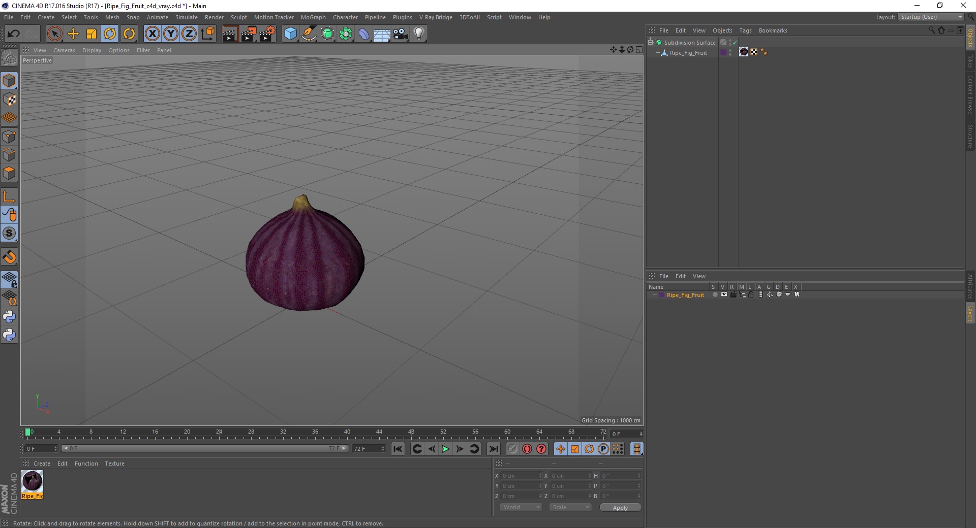 Ripe Fig Fruit 3D model