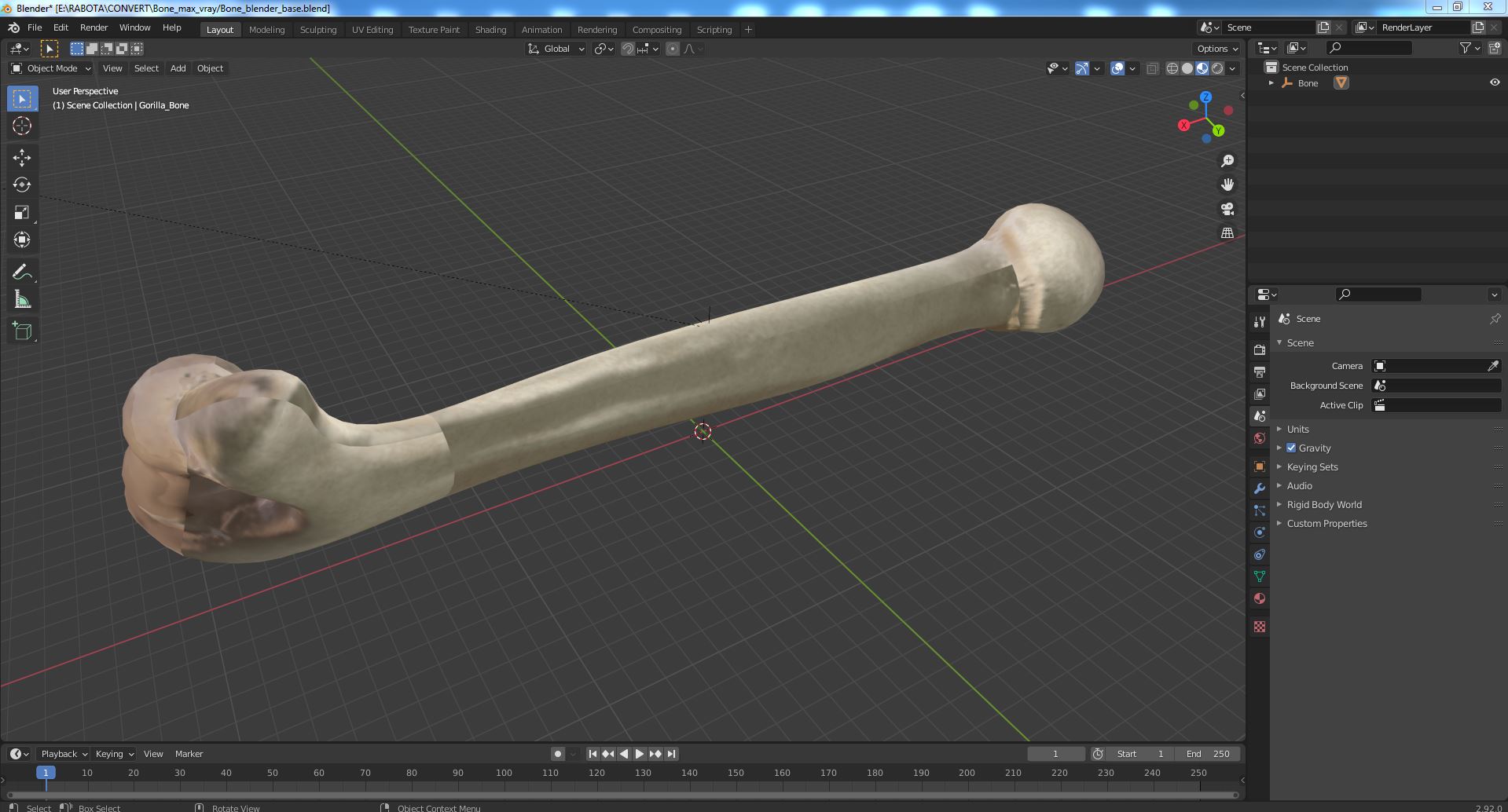 3D model Bone