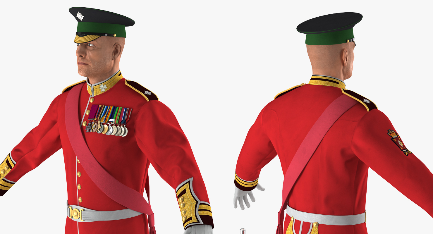 3D model Irish Guard Sergeant