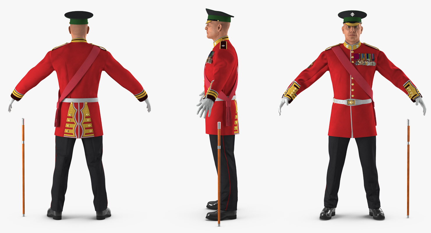 3D model Irish Guard Sergeant