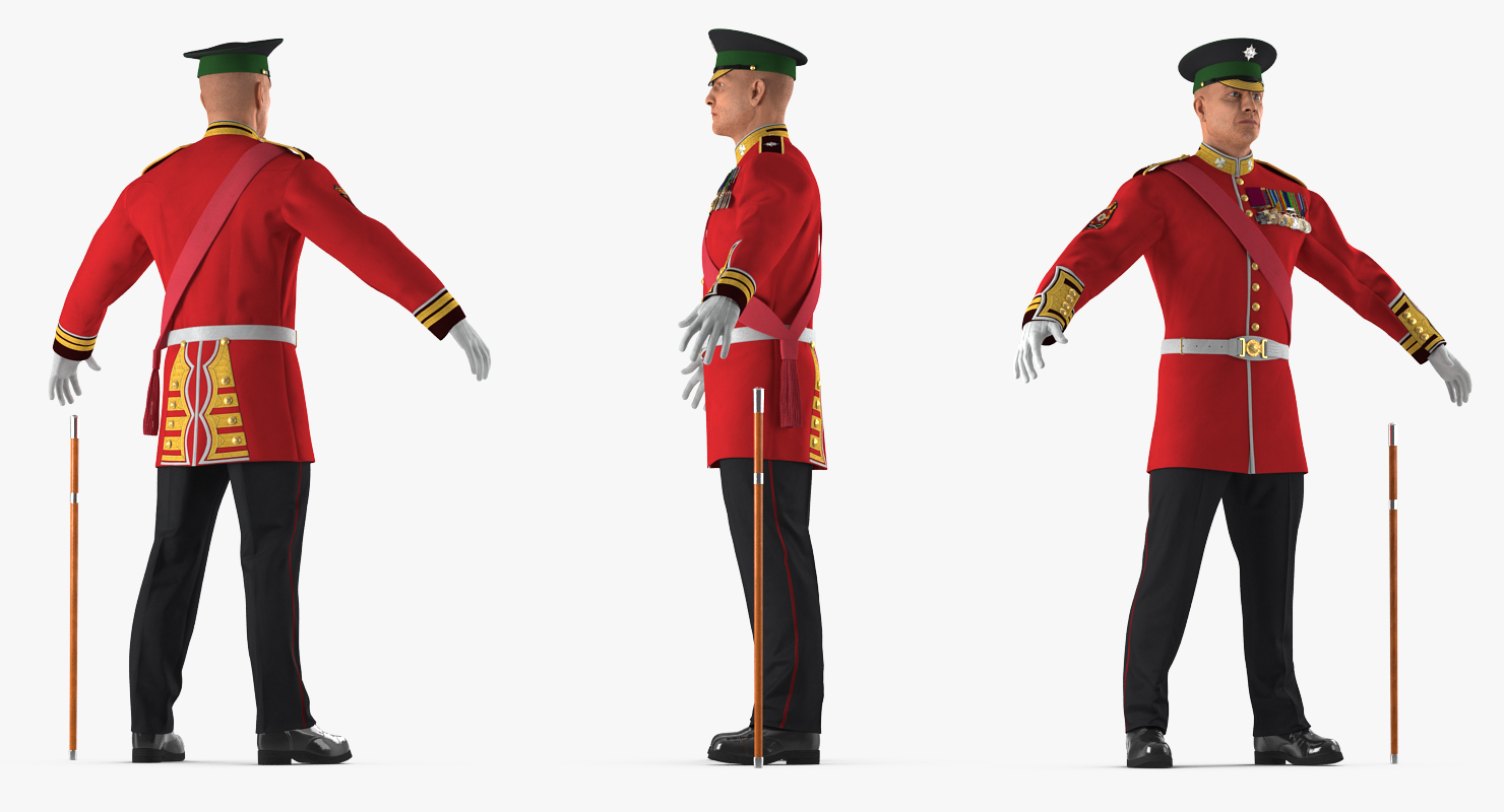 3D model Irish Guard Sergeant