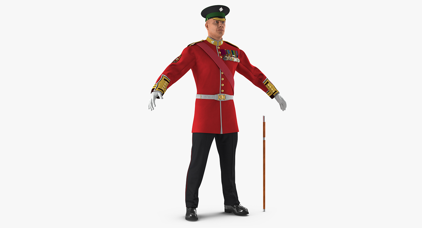 3D model Irish Guard Sergeant