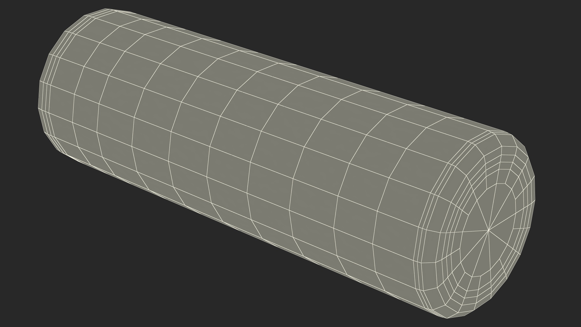 Compact Foam Roller 3D model