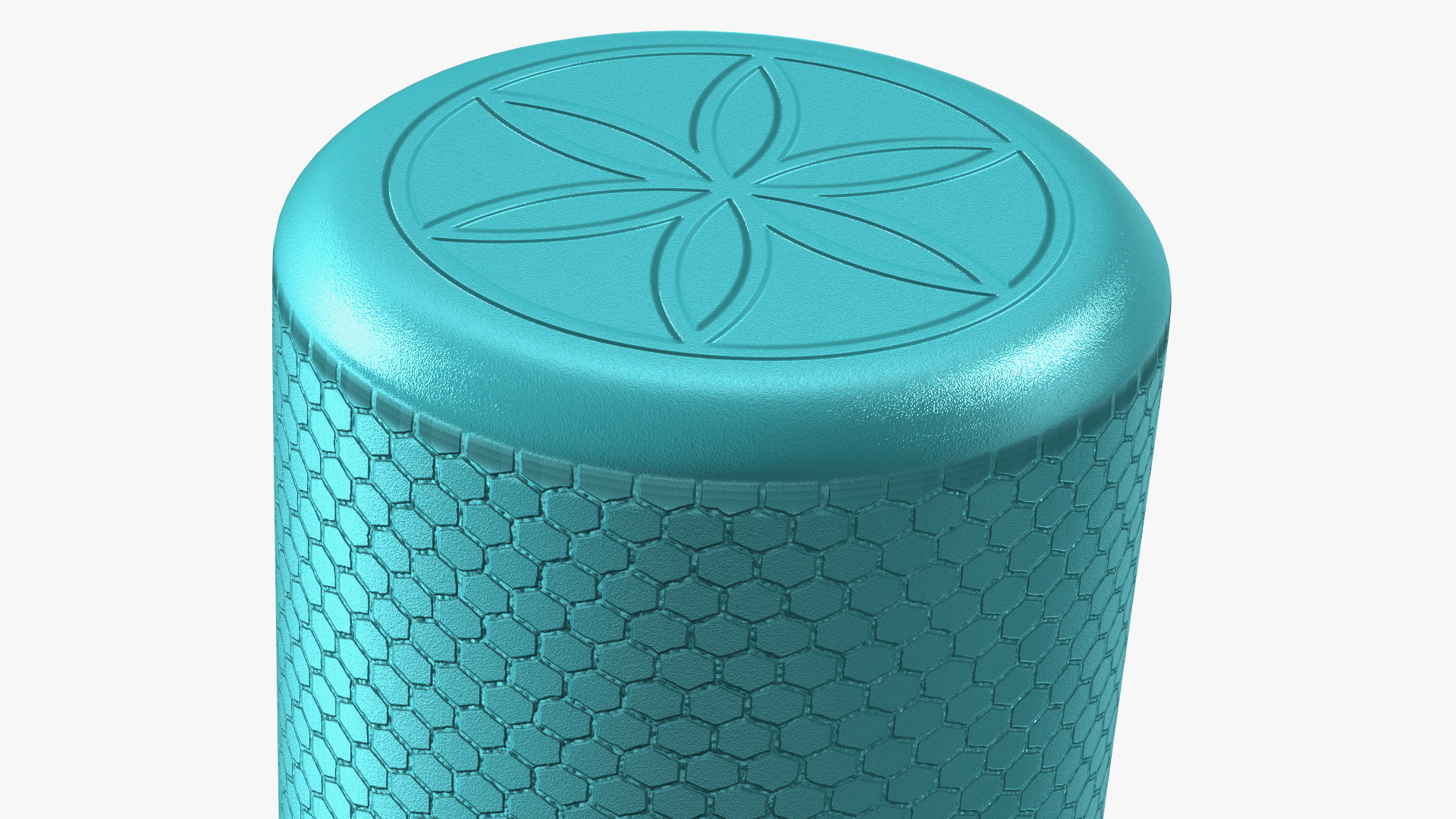 Compact Foam Roller 3D model