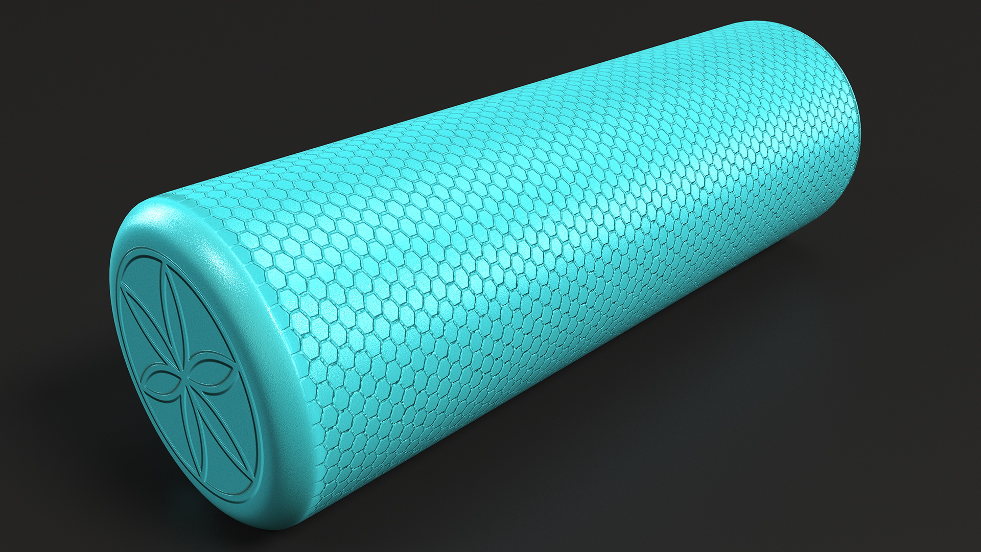 Compact Foam Roller 3D model