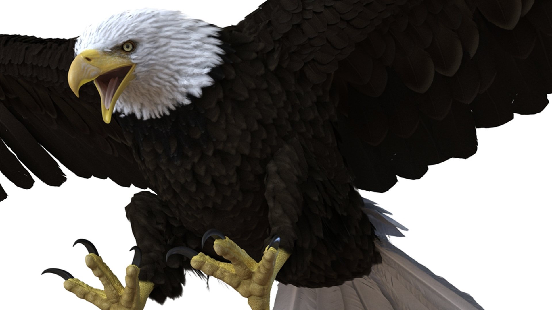 3D Realistic Bald Eagle Animated Rigged