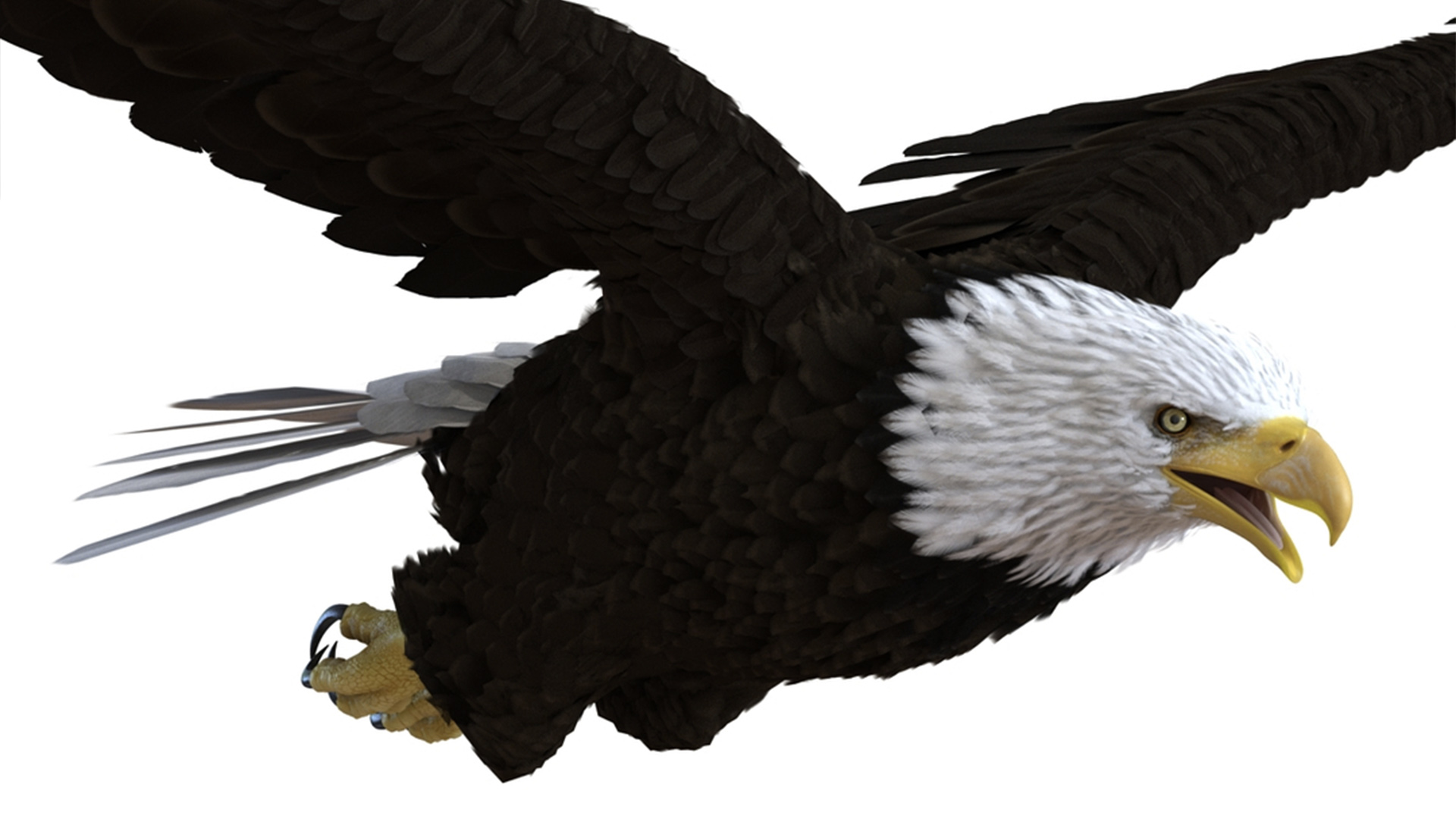 3D Realistic Bald Eagle Animated Rigged