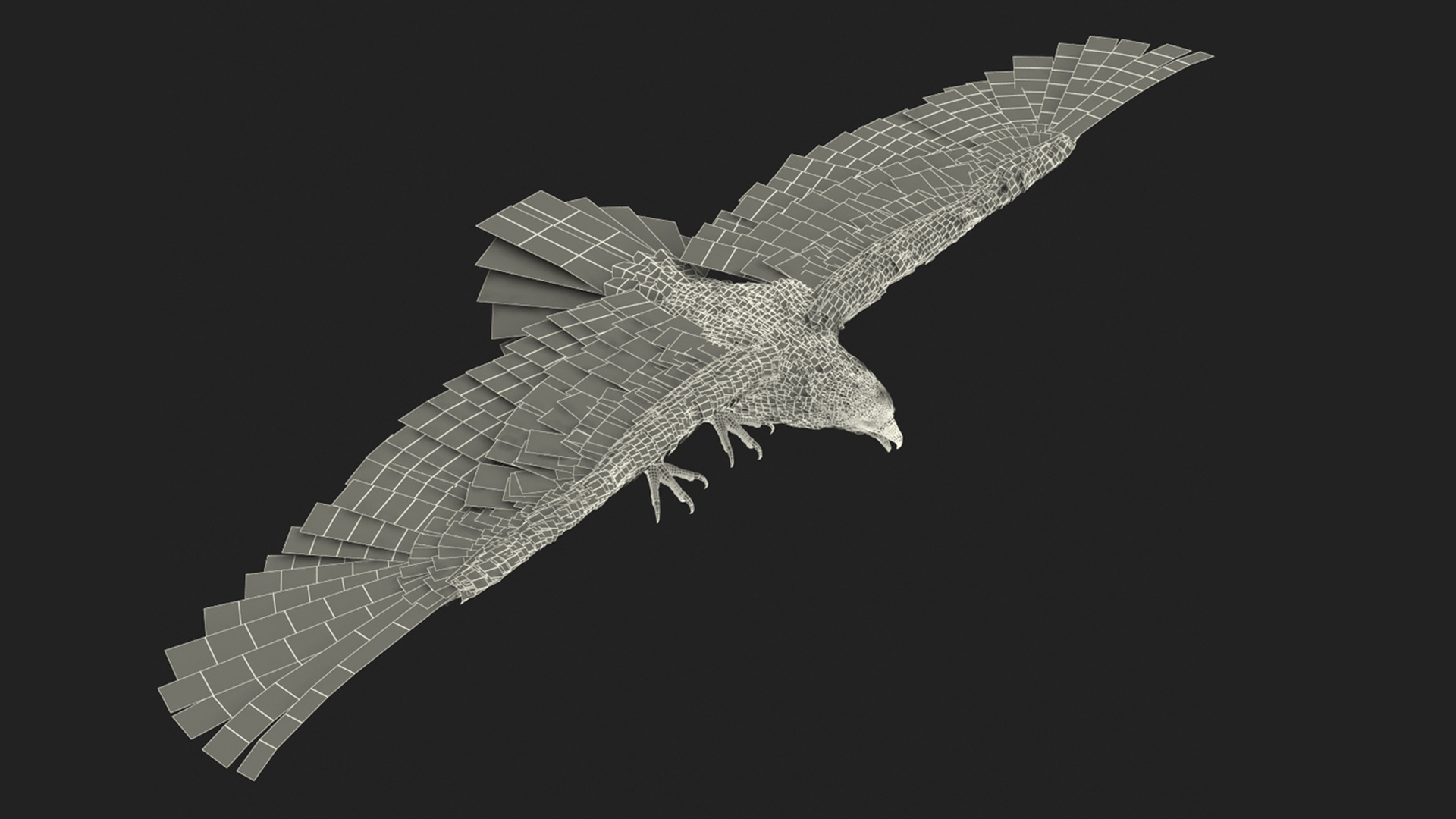 3D Realistic Bald Eagle Animated Rigged