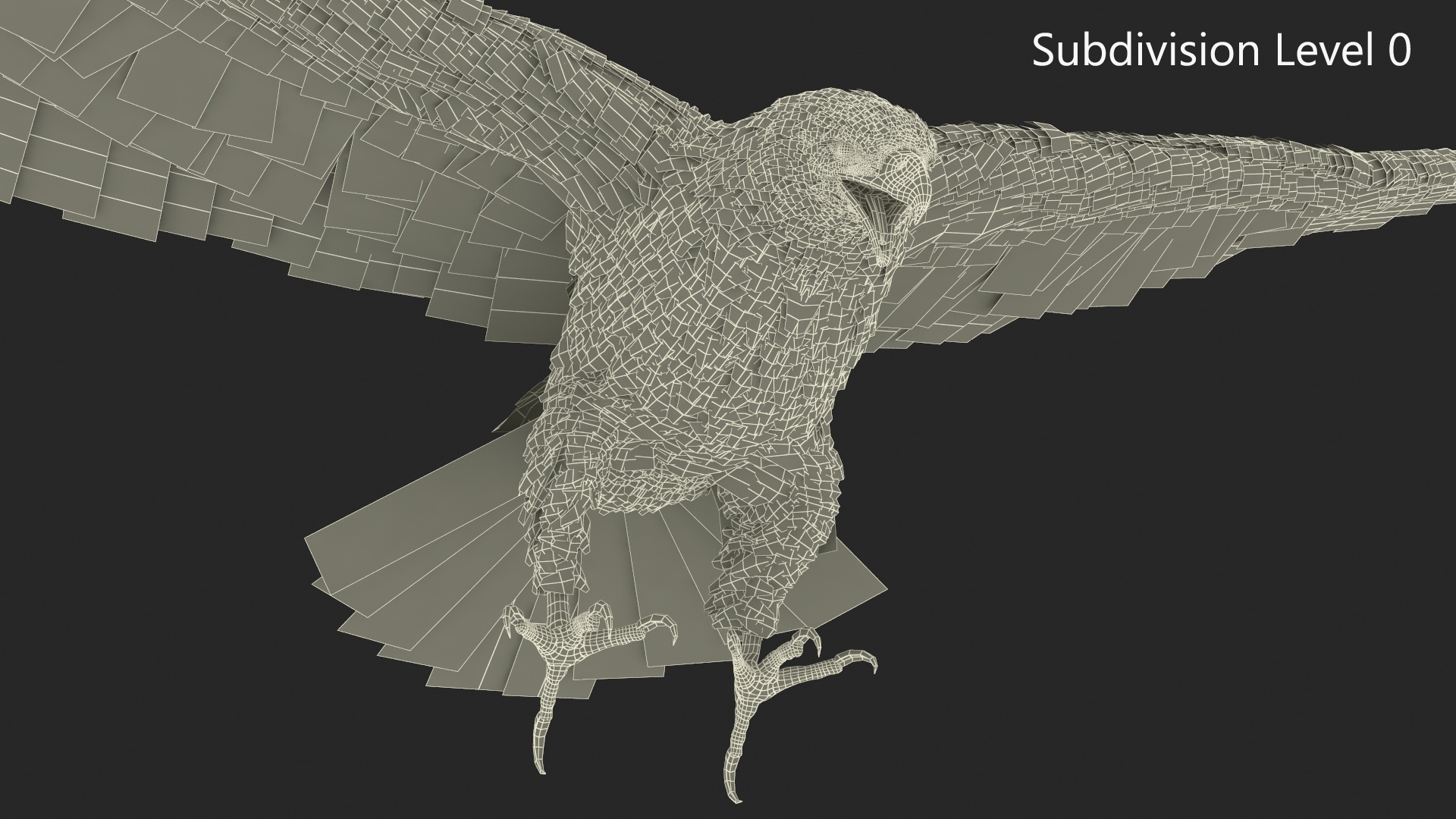 3D Realistic Bald Eagle Animated Rigged