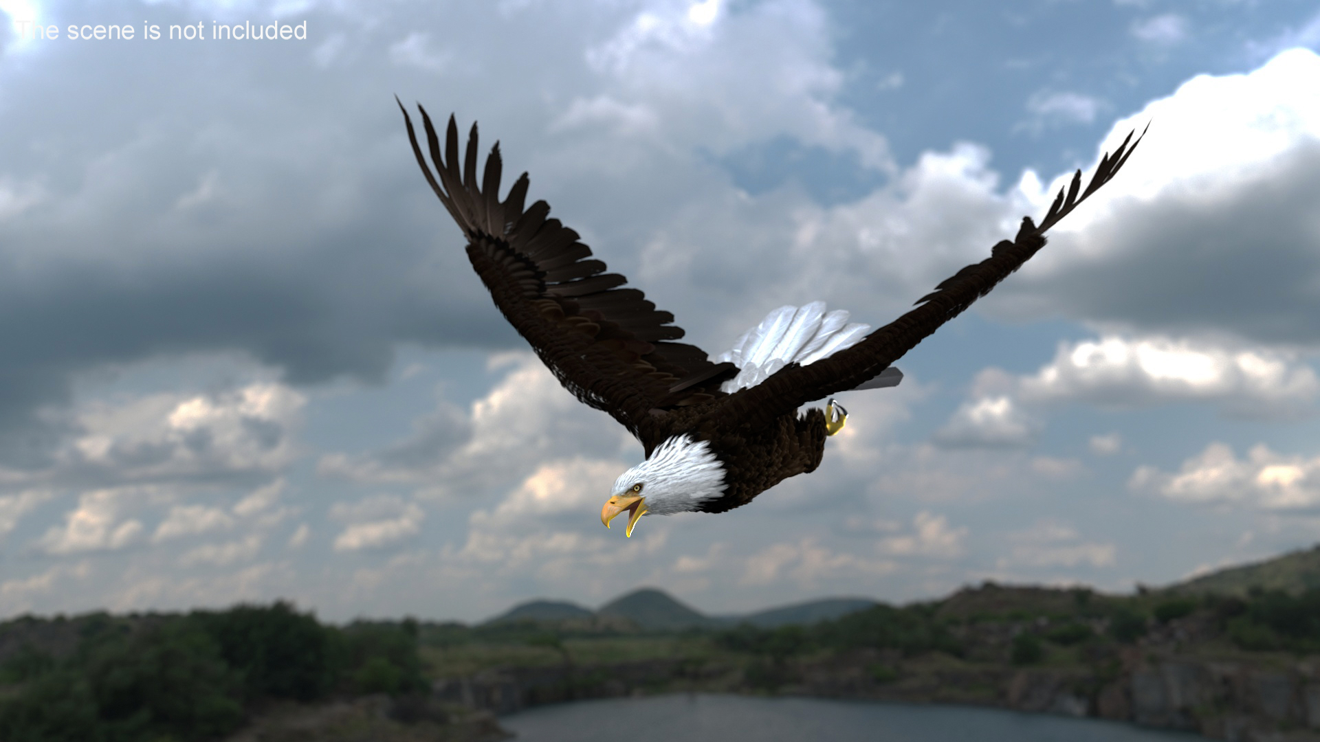 3D Realistic Bald Eagle Animated Rigged