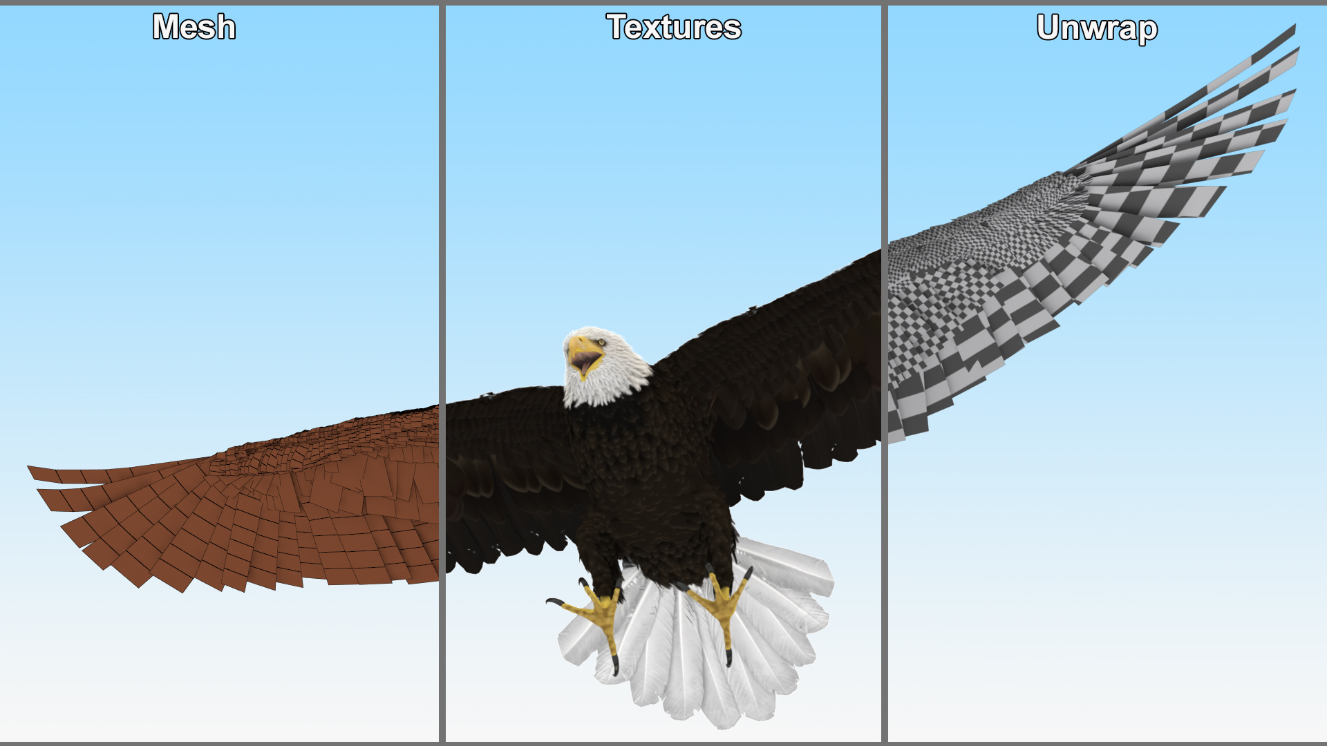 3D Realistic Bald Eagle Animated Rigged