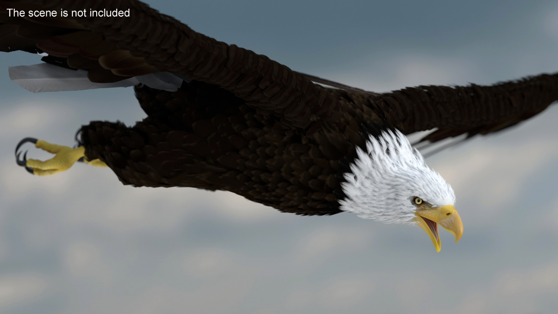 3D Realistic Bald Eagle Animated Rigged