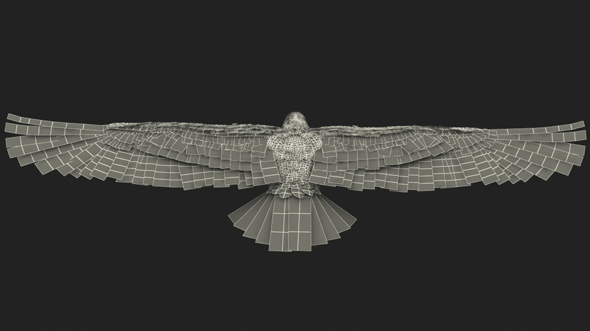 3D Realistic Bald Eagle Animated Rigged