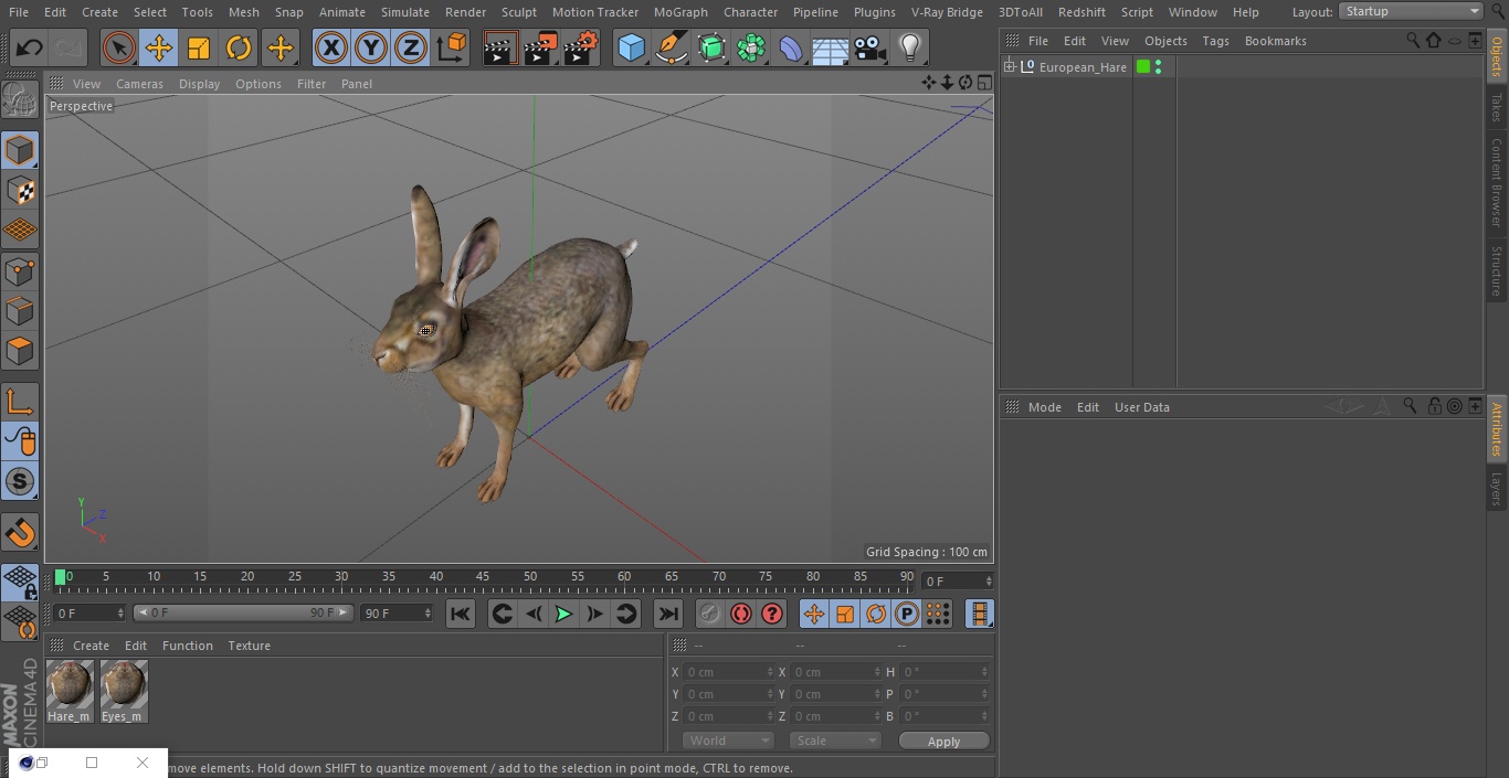 3D European Hare model