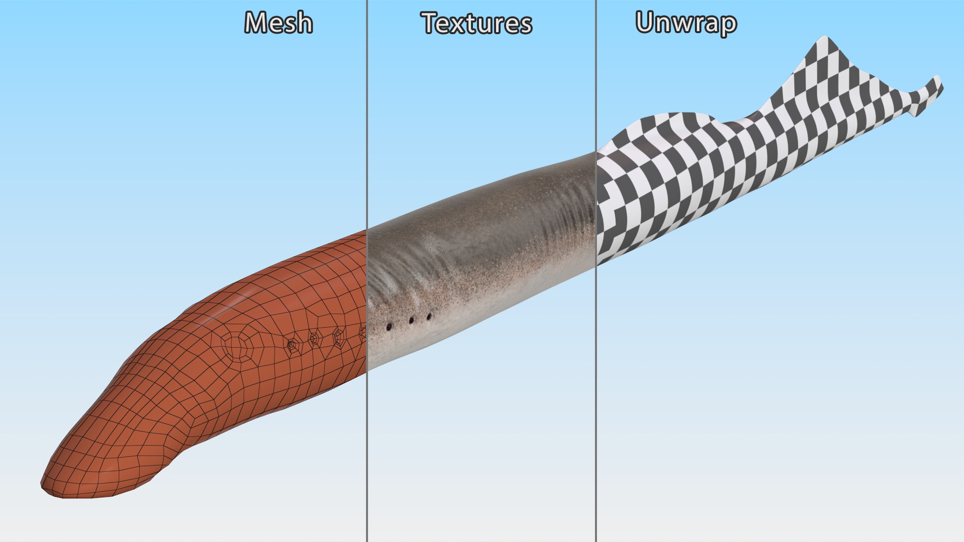 Lamprey Eel Basic Pose 3D