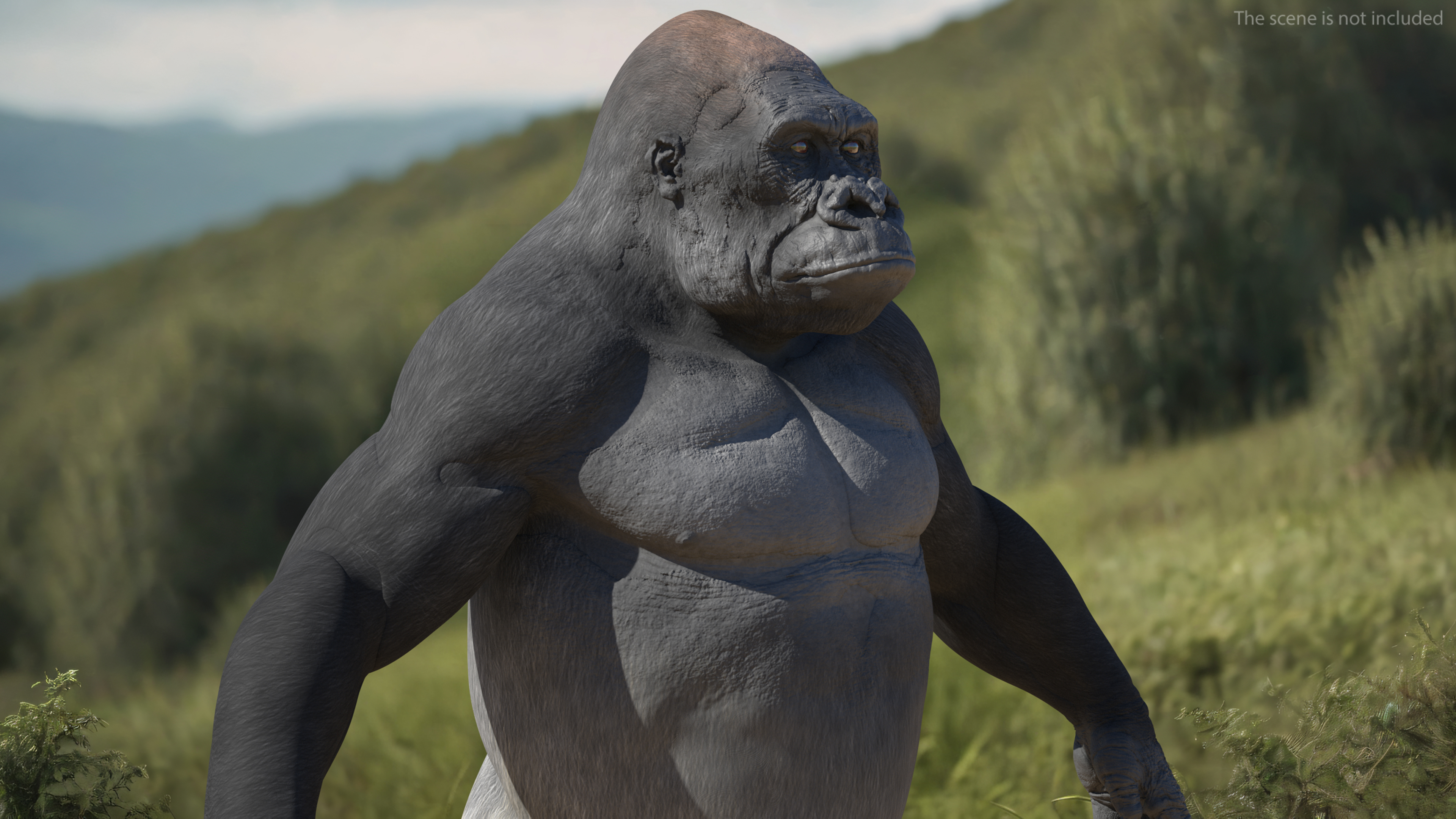 3D Roaring Gorilla Animated Rigged