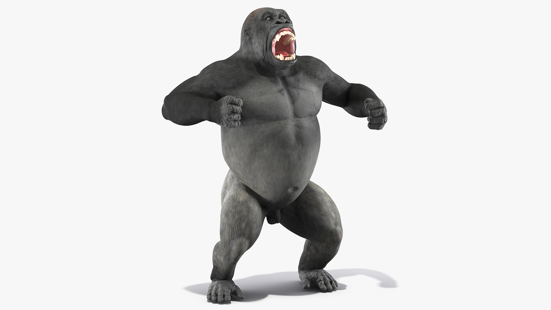 3D Roaring Gorilla Animated Rigged