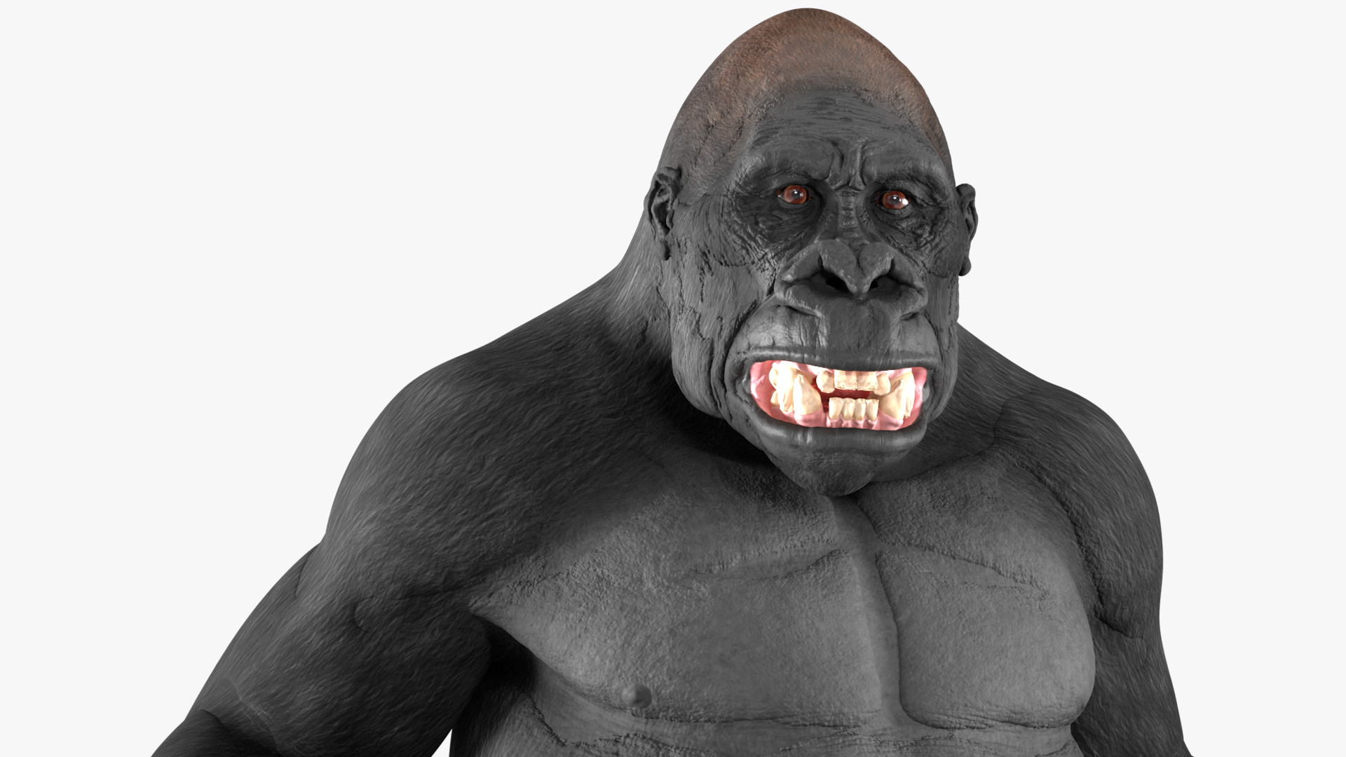 3D Roaring Gorilla Animated Rigged