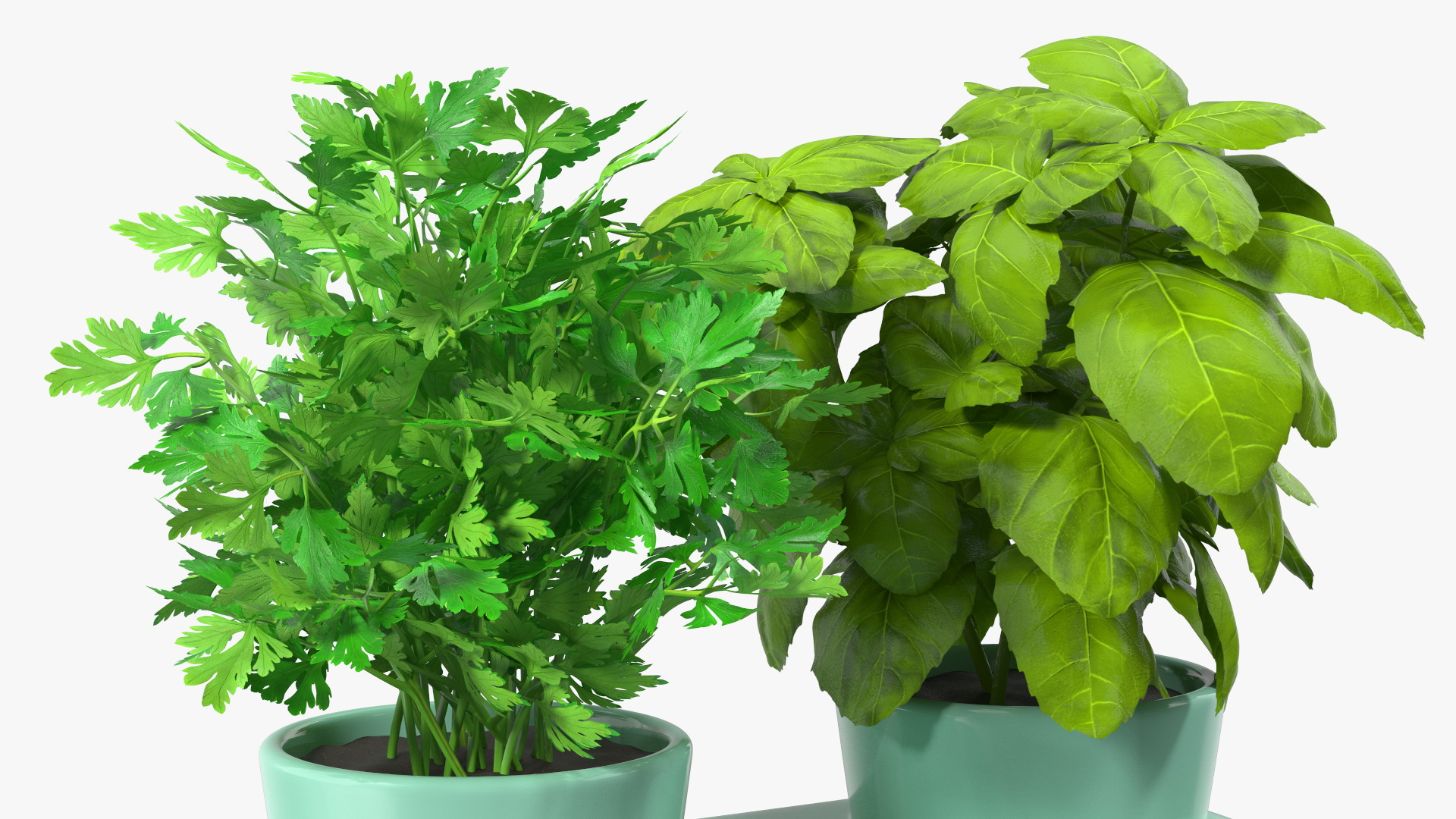 Herbs in Double Pot Sagaform Green 3D model