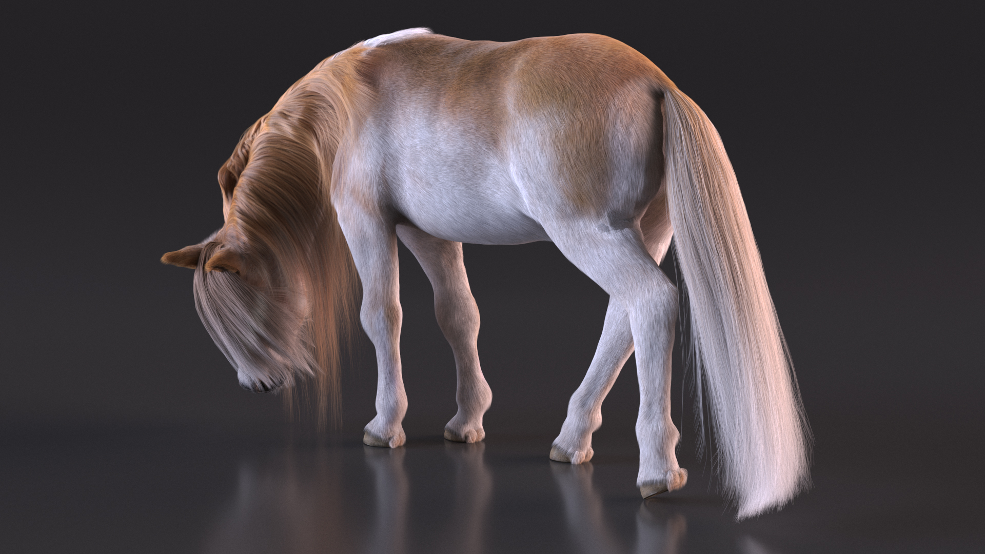 3D Pony with Long Mane Grazing Fur