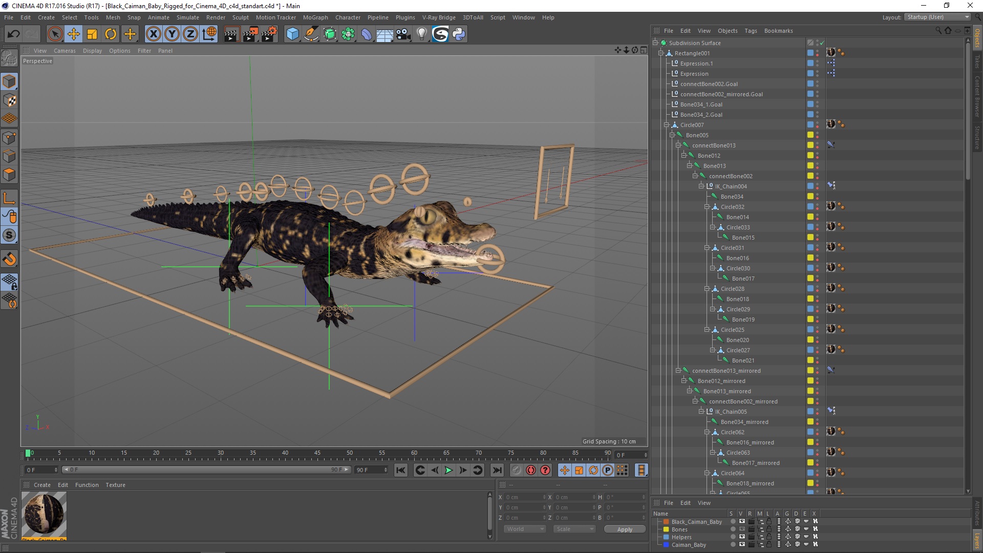 3D Black Caiman Baby Rigged for Cinema 4D model