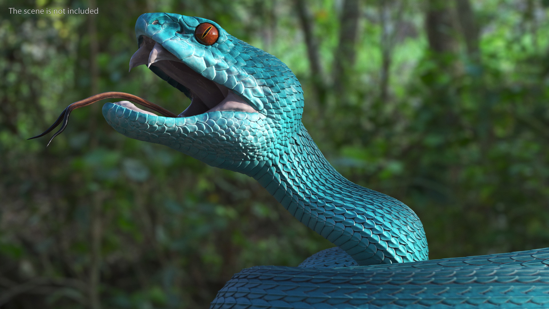 3D Attacking Blue Snake Trimeresurus model