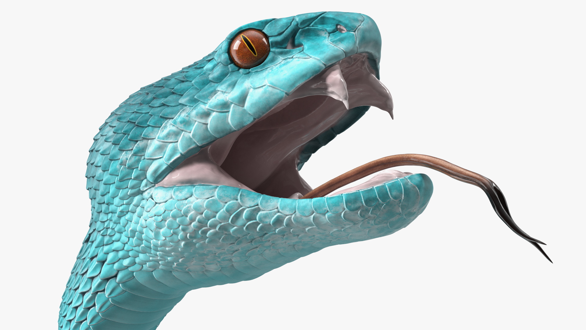 3D Attacking Blue Snake Trimeresurus model