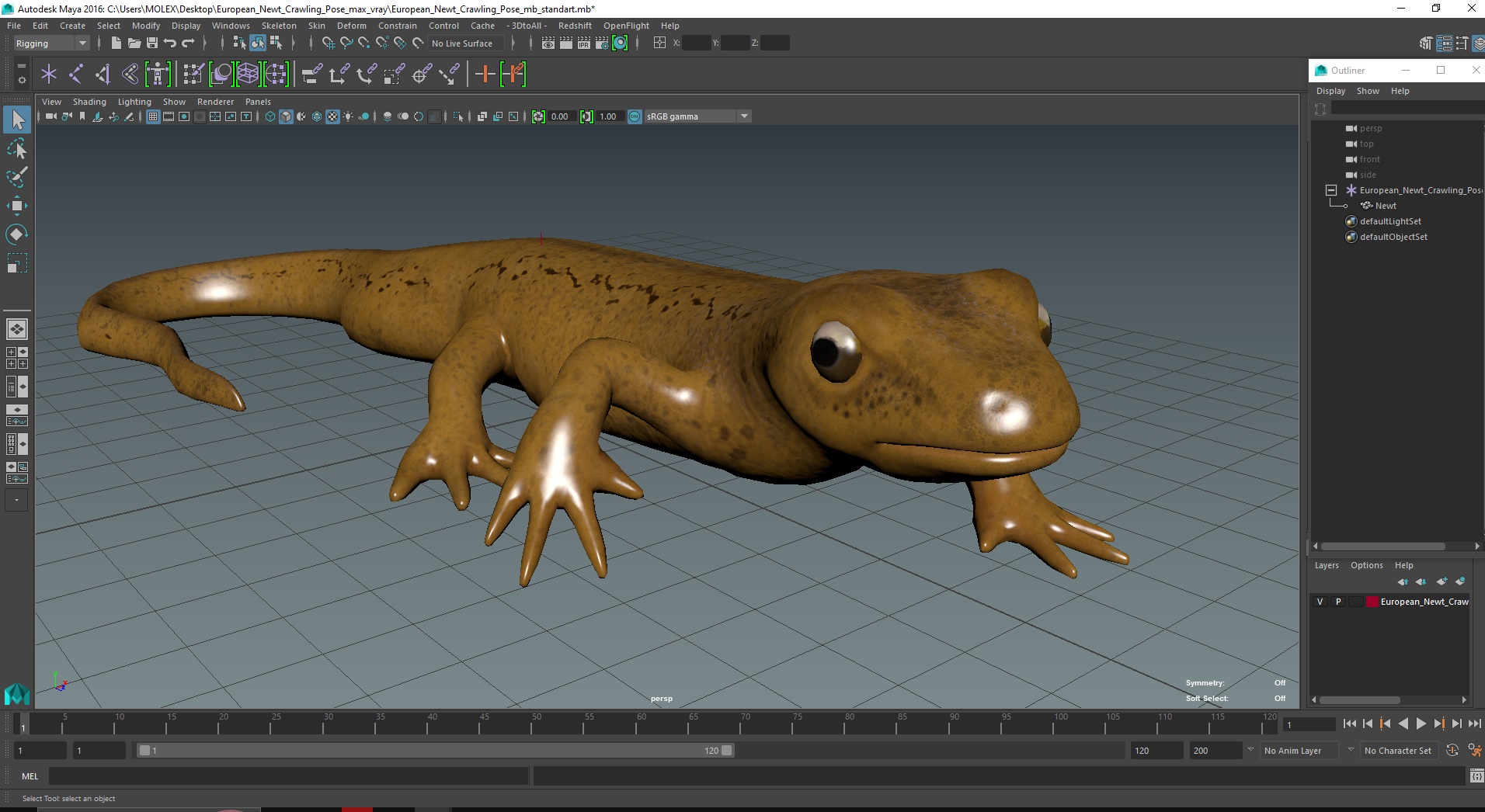 European Newt Crawling Pose 3D