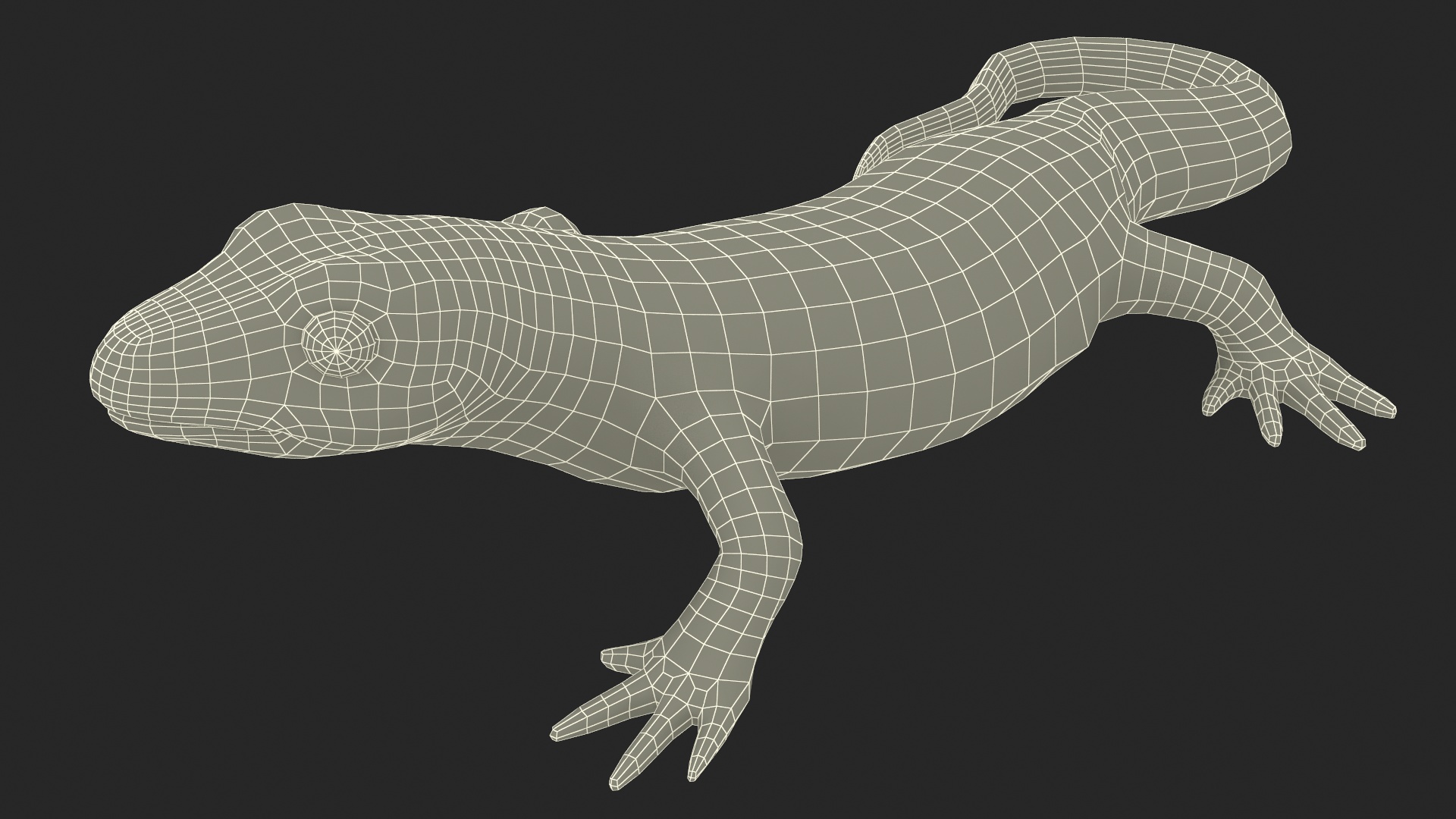 European Newt Crawling Pose 3D